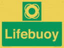lifebuoy-with-symbol~